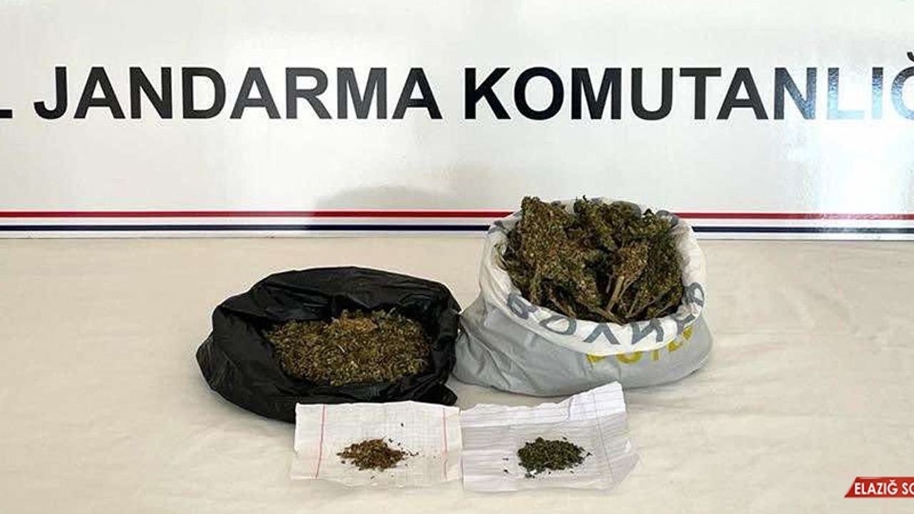 Adana'da Uyuşturucu Operasyonu: 1 Gözaltı  