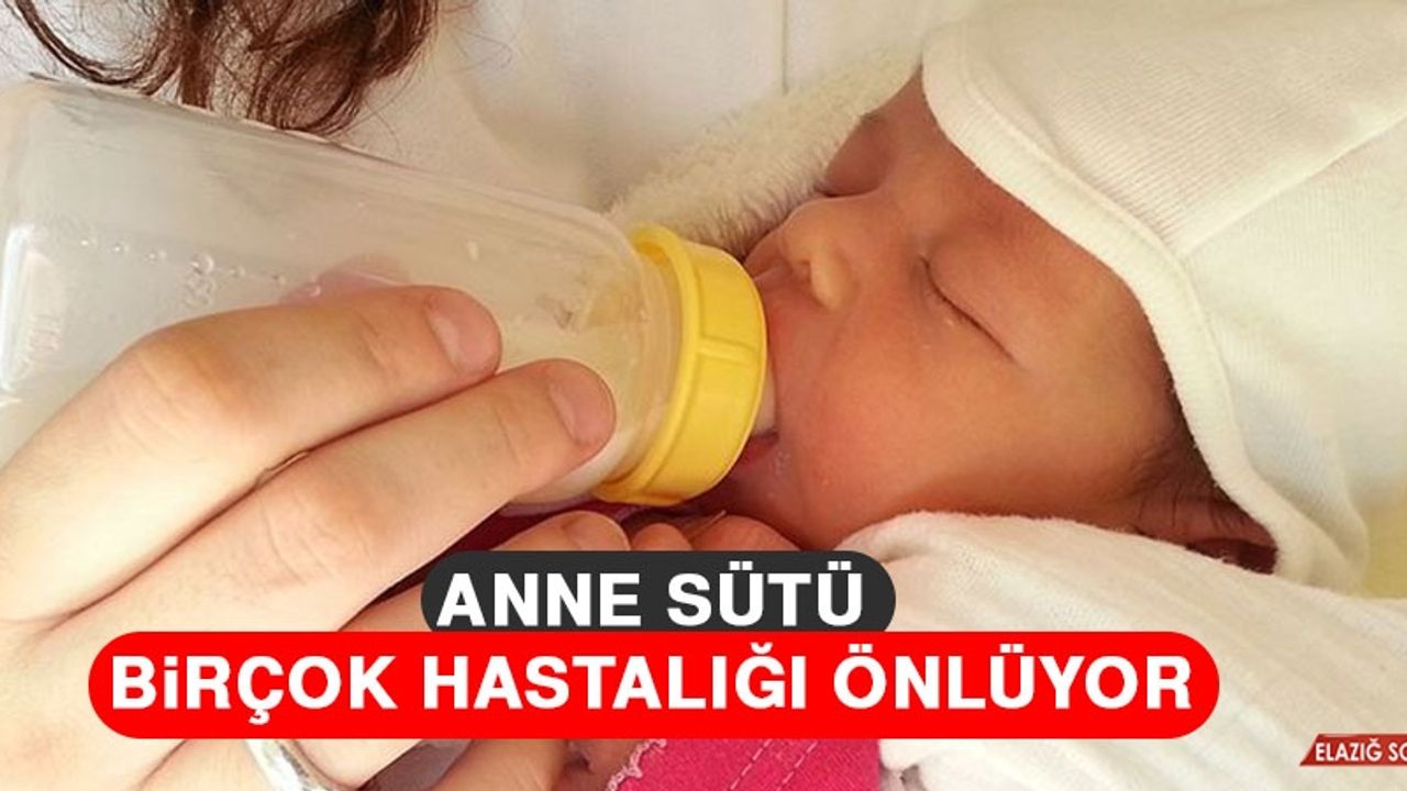 Anne Sütü Birçok Hastalığı Önlüyor