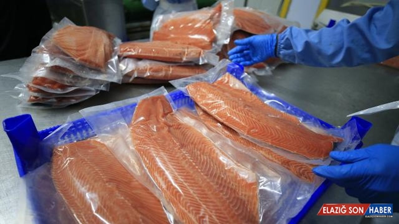 Bazı deniz ürünlerinden gümrük vergisi alınmayacak