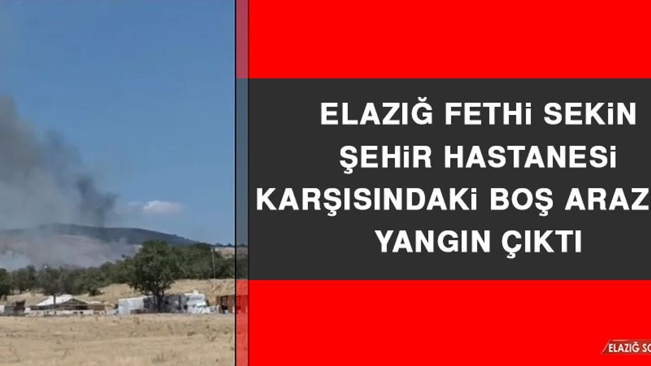 Elazığ Fethi Sekin Şehir Hastanesi Karşısındaki Boş Arazide Yangın Çıktı