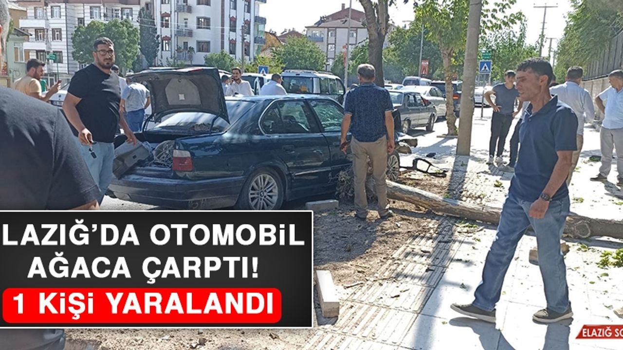 Elazığ’da Otomobil Ağaca Çarptı: 1 Yaralı