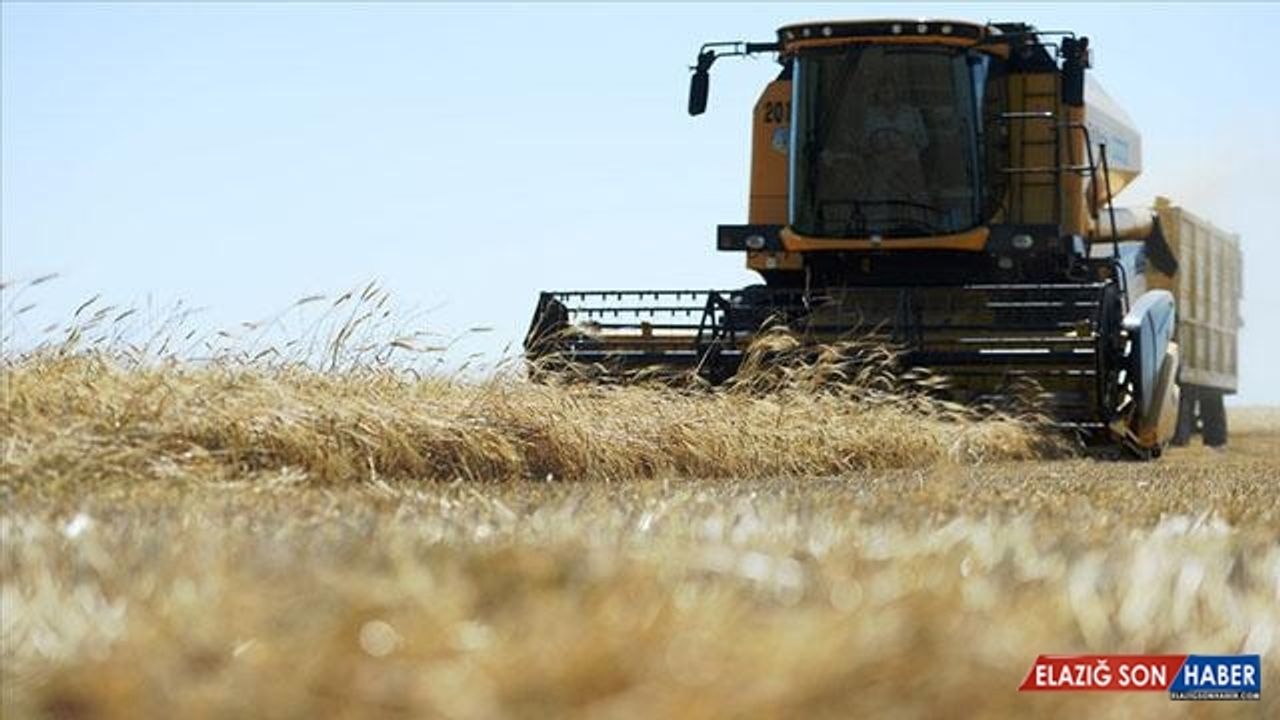 Tarımda rekor ocak-temmuz ihracatı