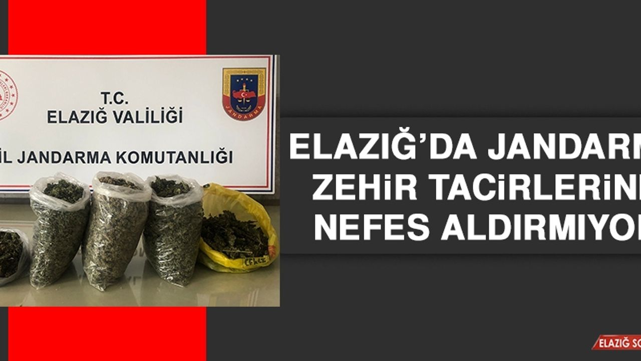 Elazığ’da Jandarma Zehir Tacirlerine Nefes Aldırmıyor