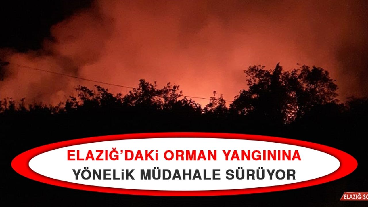 Elazığ’daki Orman Yangınına Yönelik Müdahale Sürüyor