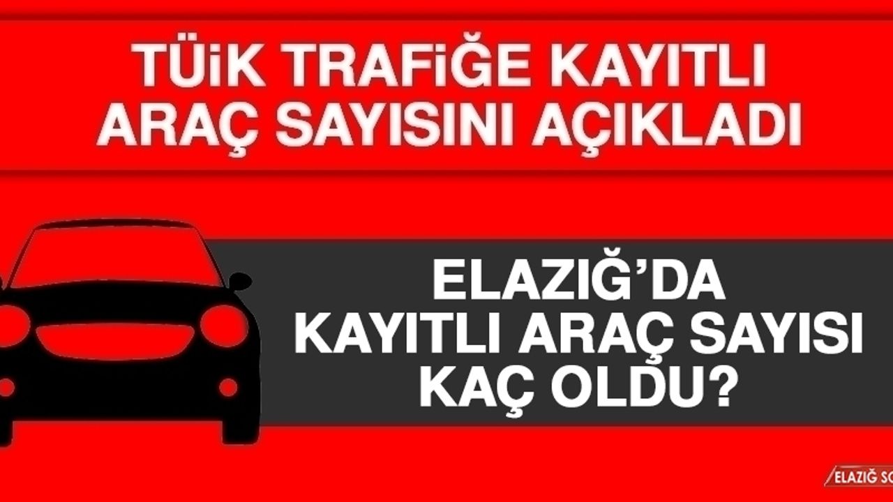 Elazığ’ın Ağustos Ayı Araç Sayısı Belli Oldu!