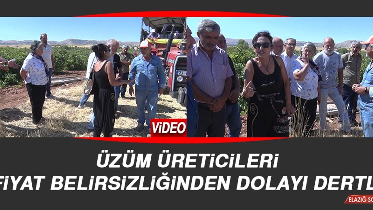 Üzüm Üreticileri, Fiyat Belirsizliğinden Dolayı Dertli