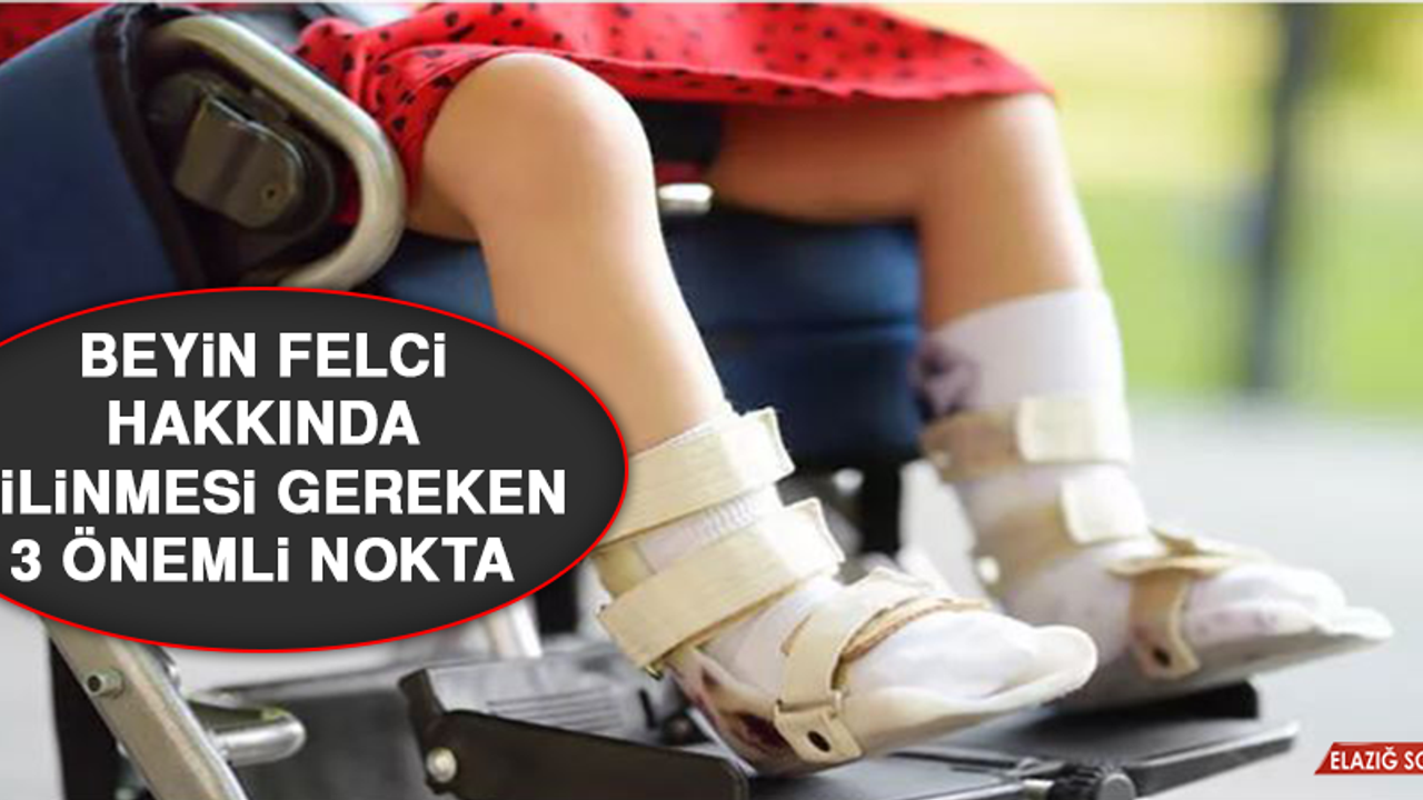 Beyin Felci Hakkında Bilinmesi Gereken 3 Önemli Nokta