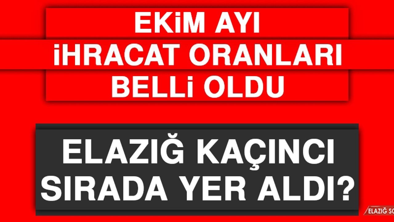 2022 Yılı Ekim Ayı İhracat Oranları Belli Oldu