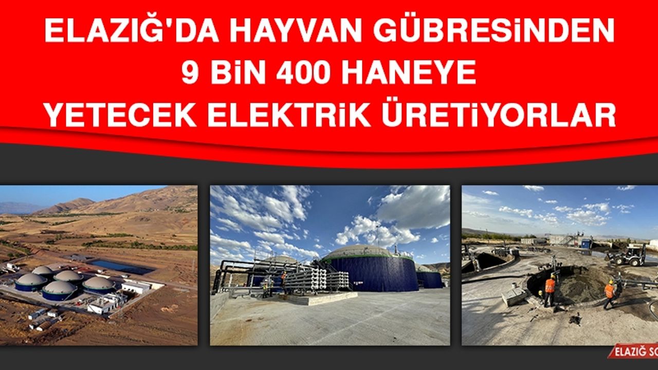 Elazığ'da Hayvan Gübresinden 9 Bin 400 Haneye Yetecek Elektrik Üretiyorlar