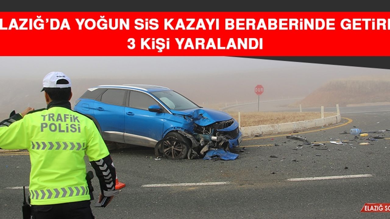 Elazığ’da Yoğun Sis Kazayı Beraberinde Getirdi