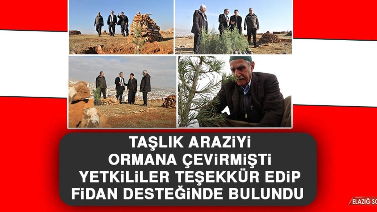 Taşlık Araziyi Ormana Çevirmişti: Yetkililer Teşekkür Edip Fidan Desteğinde Bulundu 