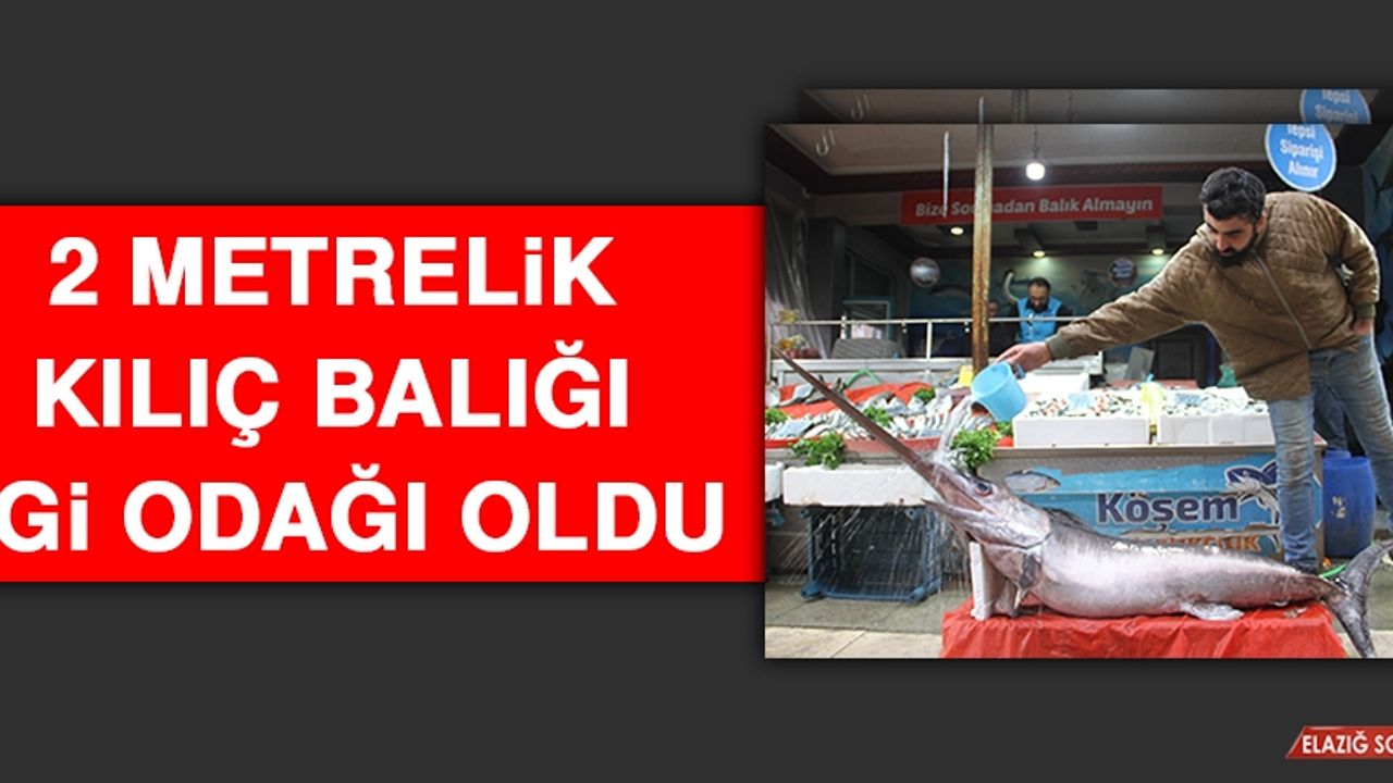2 Metrelik Kılıç Balığı İlgi Odağı Oldu