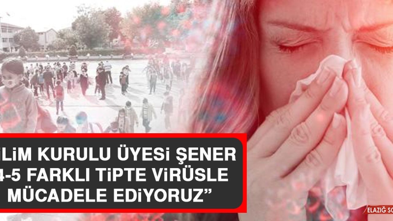 Bilim Kurulu Üyesi Şener: 4-5 Farklı Tipte Virüsle Mücadele Ediyoruz