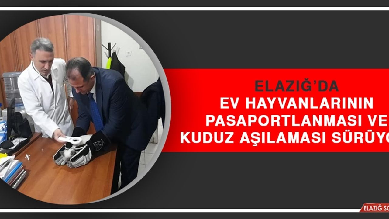 Elazığ’da Ev Hayvanlarının  Pasaportlanması Ve Kuduz Aşılaması Sürüyor 