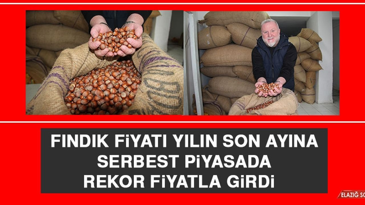 Fındık Fiyatı Yılın Son Ayına Serbest Piyasada Rekor Fiyatla Girdi  