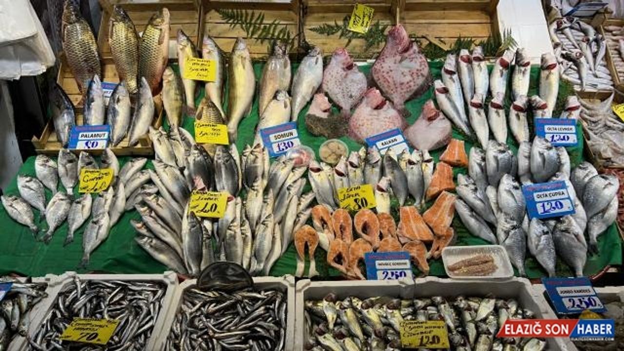 Hava sıcaklığı balık tezgahlarını etkiledi: Hava soğursa fiyatlar düşer