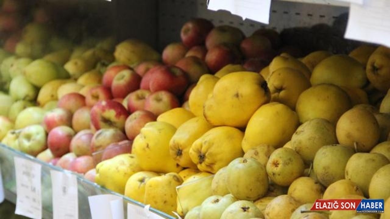 Kasımda 354,9 milyon dolarlık yaş meyve sebze ihraç edildi