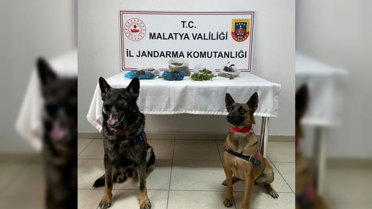 Malatya'da dron destekli uyuşturucu operasyonunda 2 zanlı yakalandı