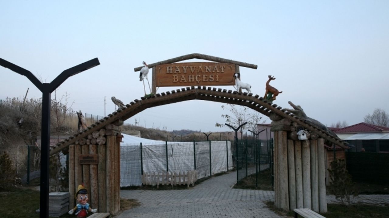 Muş'ta yaralı halde bulunan yaban keçisi tedavi altına alındı