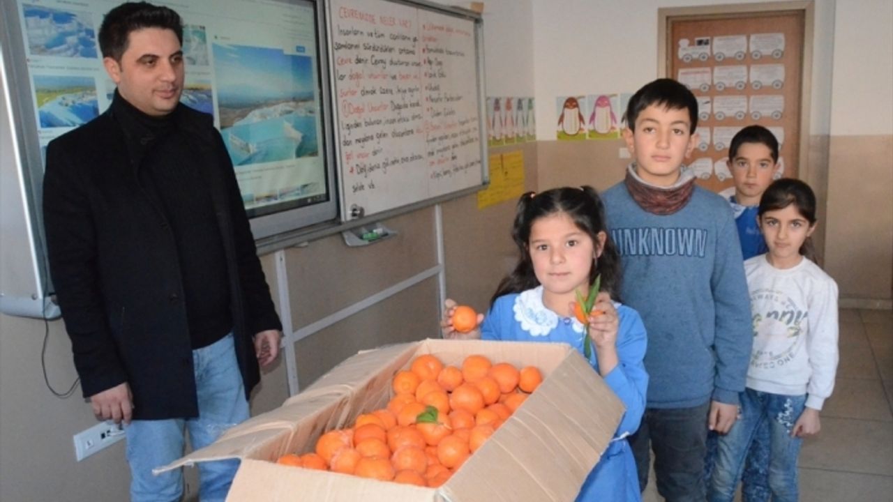 Aydın'da öğrenciler, okul bahçesinde yetiştirdikleri meyveleri Sarıkamışlı çocuklara gönderdi