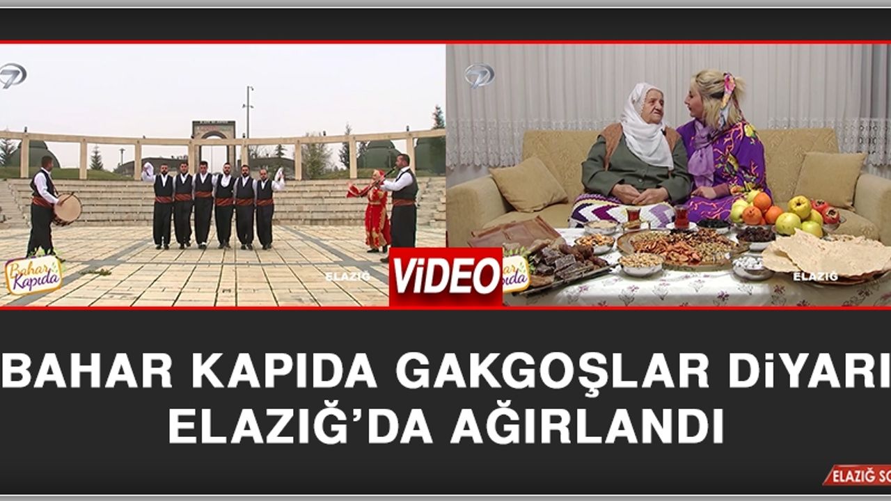 Bahar Kapıda Gakgoşlar Diyarı Elazığ’da Ağırlandı