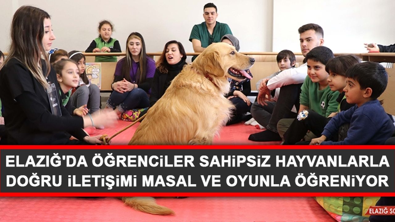 Elazığ'da Öğrenciler Sahipsiz Hayvanlarla Doğru İletişimi Masal ve Oyunla Öğreniyor