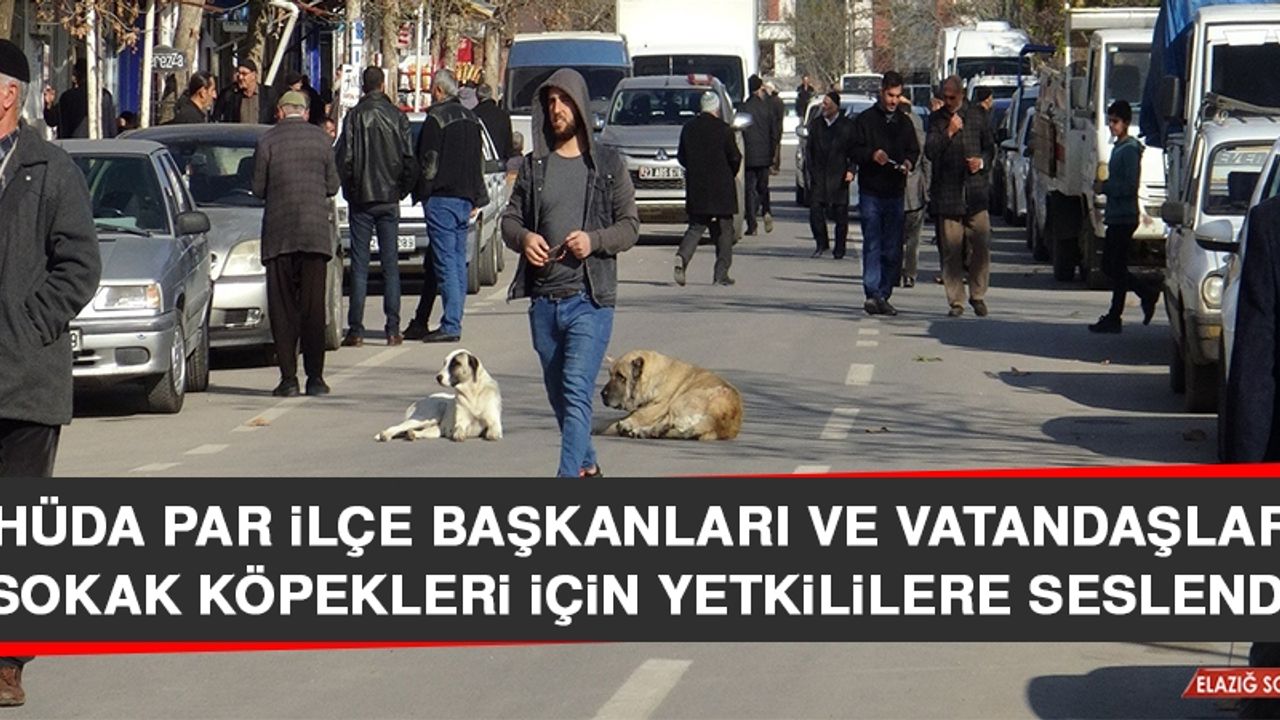 HÜDA PAR İlçe Başkanları ve Vatandaşlar Sokak Köpekleri İçin Yetkililere Seslendi