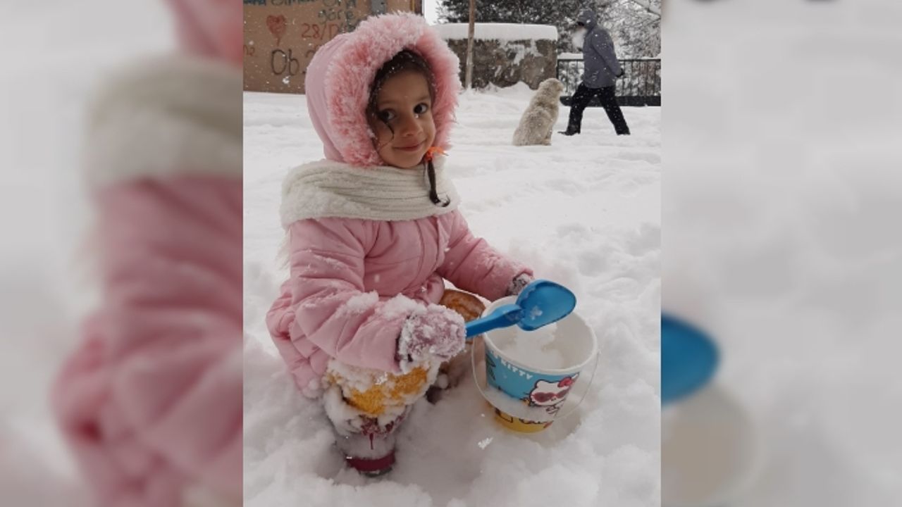 Ardahan-Şavşat kara yolu ağır tonajlı araçlara kapatıldı