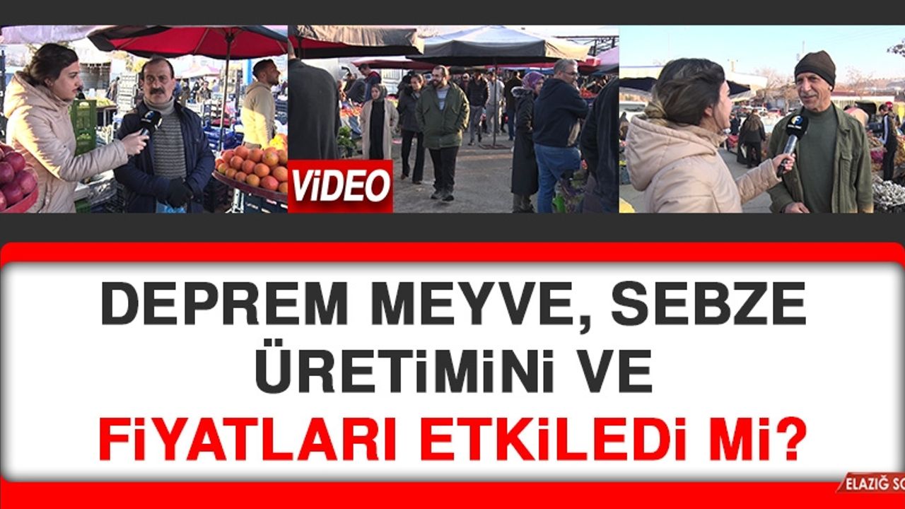 Deprem Meyve, Sebze Üretimini ve Fiyatları Etkiledi mi?