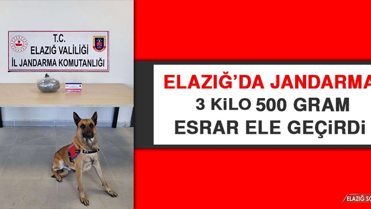 Elazığ’da Jandarma 3 Kilo 500 Gram Esrar Ele Geçirdi