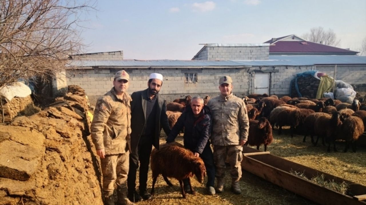 Kars ve Iğdır'da vatandaşlar deprem bölgesine et yardımında bulundu