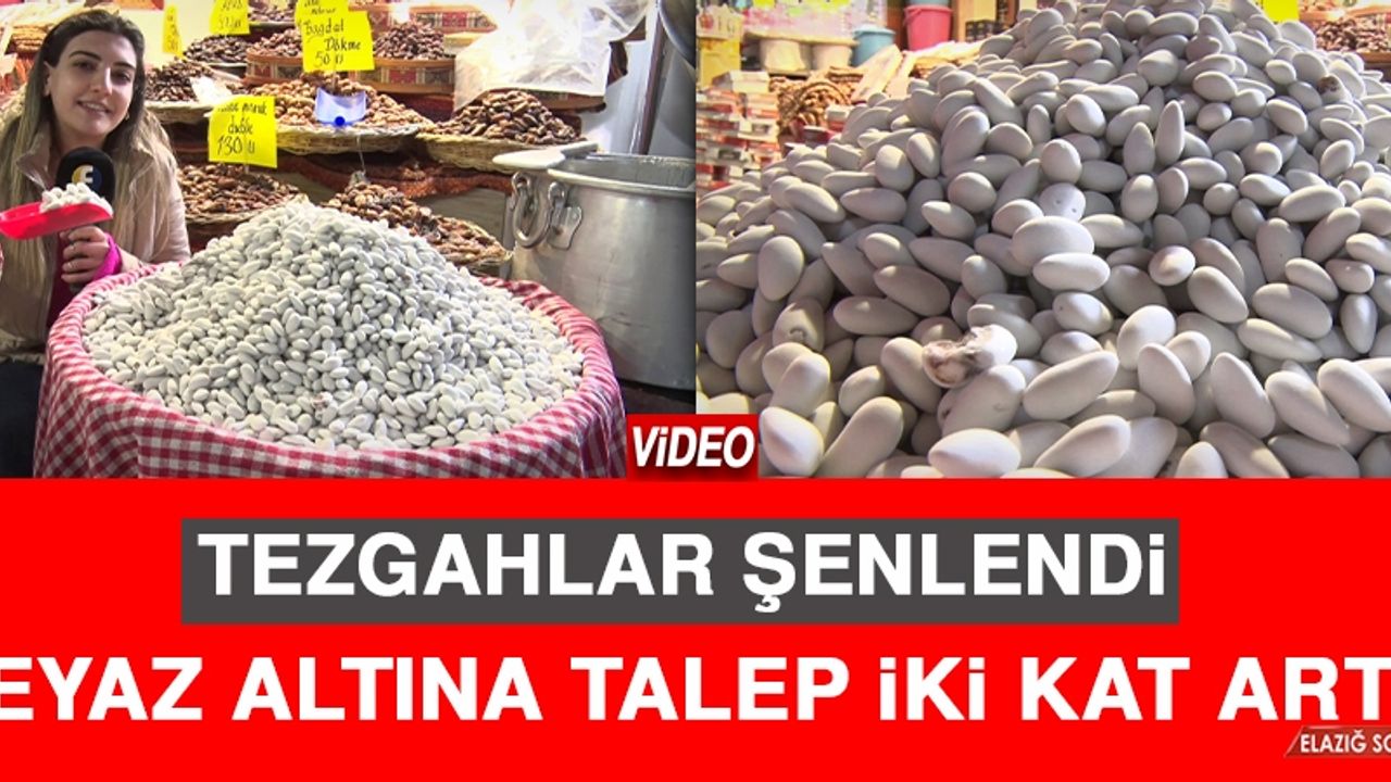 Elazığ’da Beyaz Altın Yine İlgi Odağı