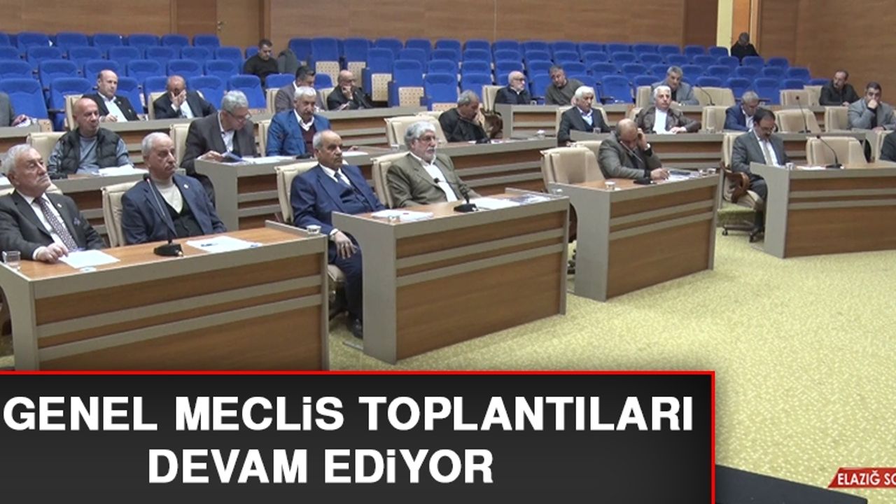 İl Genel Meclis Toplantıları Devam Ediyor