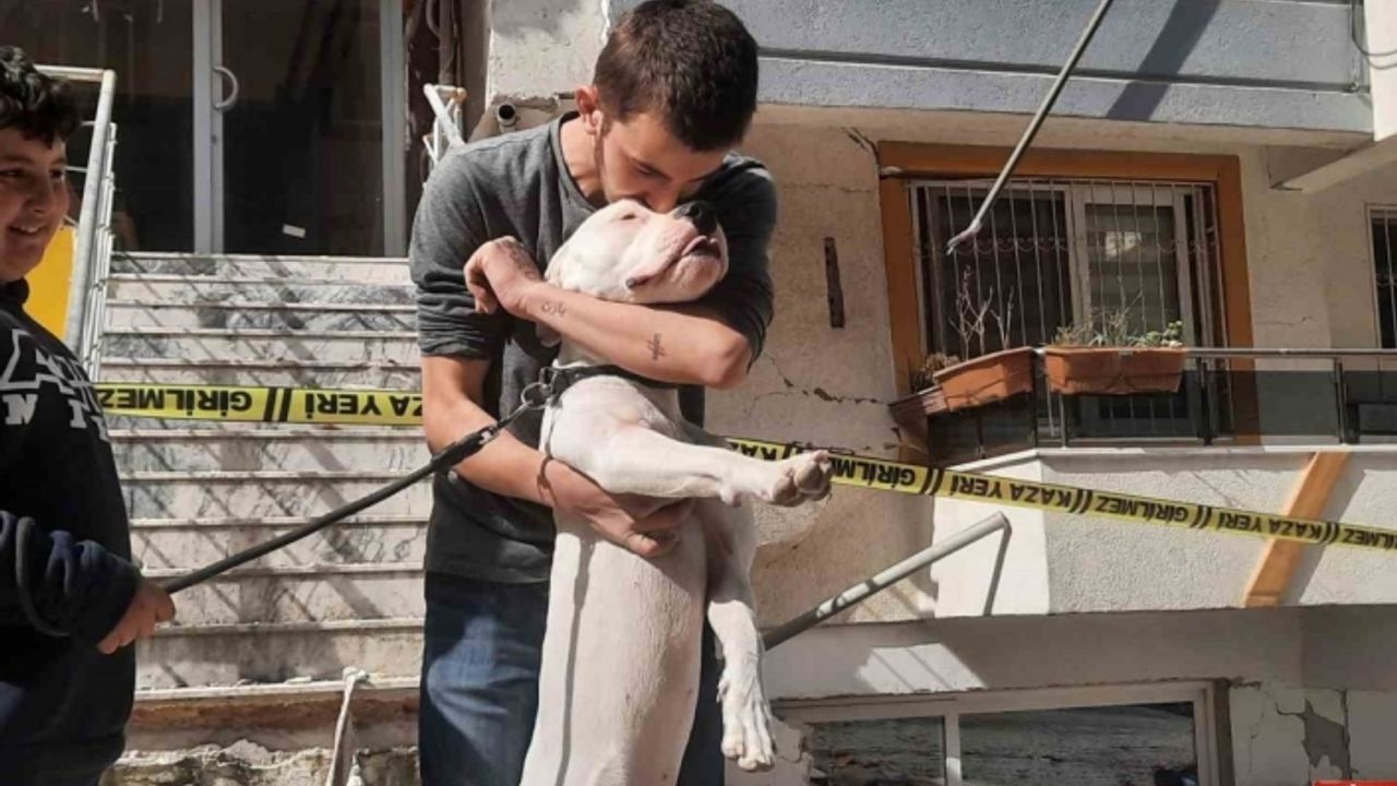 Kahraman köpek ’Dora’, deprem anında kendisini siper ederek sahiplerini korudu