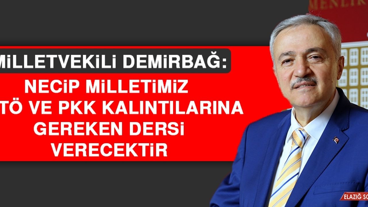 Milletvekili Demirbağ: Necip Milletimiz FETÖ ve PKK Kalıntılarına Gereken Dersi Verecektir