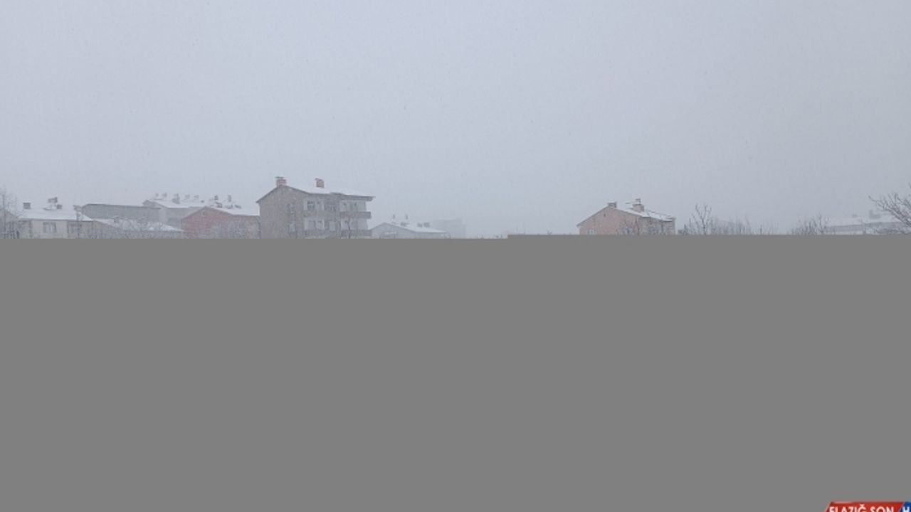 Van, Bitlis, Hakkari ve Muş'ta kar etkili oldu