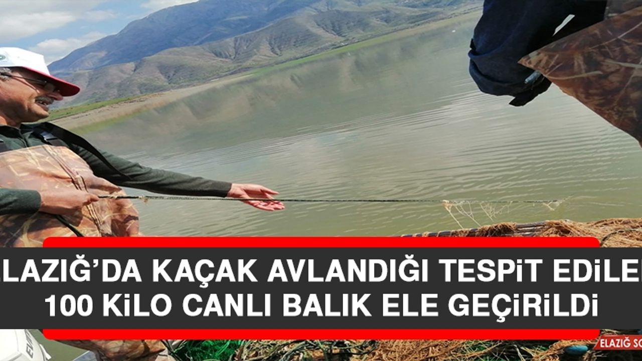 Elazığ’da Kaçak Avlandığı Tespit Edilen 100 Kilo Canlı Balık Ele Geçirildi