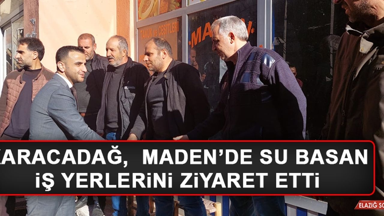 Karacadağ,  Maden’de Su Basan İş Yerlerini Ziyaret Etti