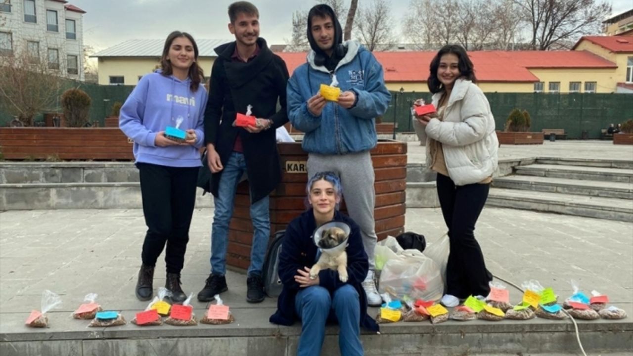 Kars'ta üniversite öğrencileri mama dağıtıp hayvanları besledi