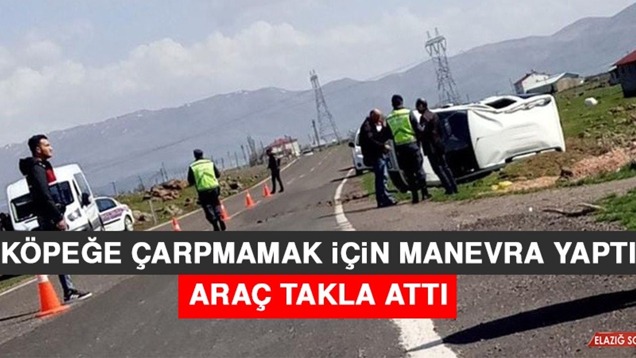 Köpeğe Çarpmamak İçin Manevra Yaptı, Araç Takla Attı