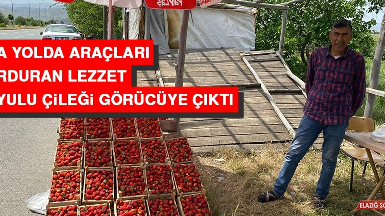 Ana Yolda Araçları Durduran Lezzet: Kuyulu Çileği Görücüye Çıktı