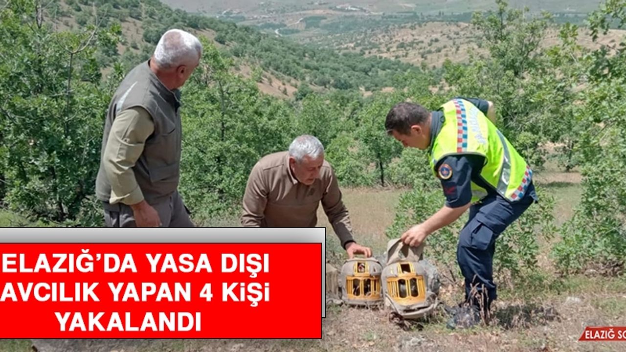 Elazığ’da Yasa Dışı Avcılık Yapan 4 Kişi Yakalandı  
