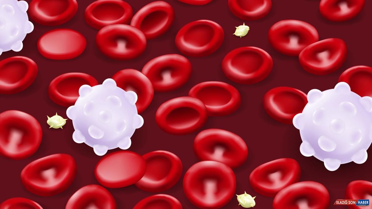 Akdeniz anemisinin kesin çözümü: Kemik iliği nakli