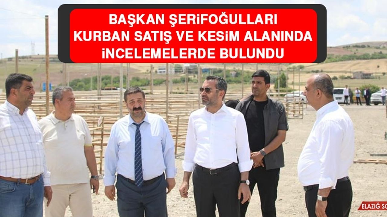 Başkan Şerifoğulları Kurban Satış ve Kesim Alanında İncelemelerde Bulundu