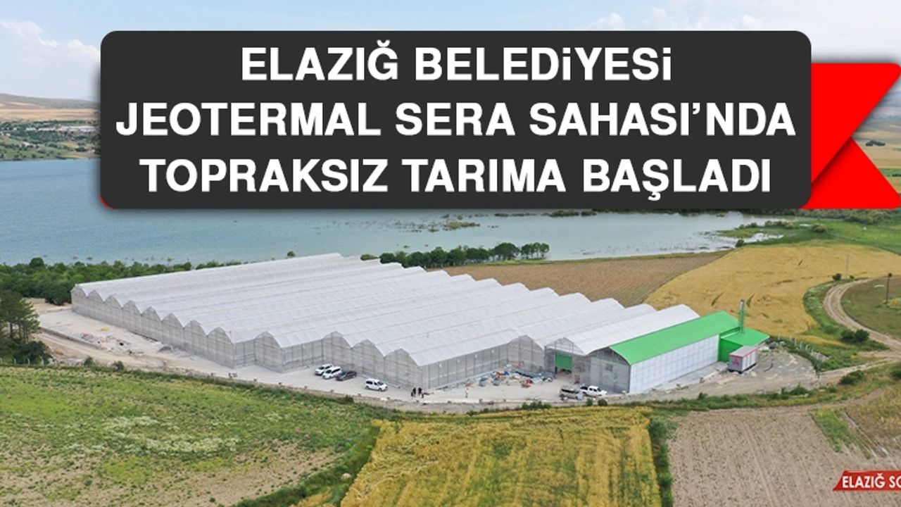 Elazığ Belediyesi Jeotermal Sera Sahası’nda Topraksız Tarıma Başladı