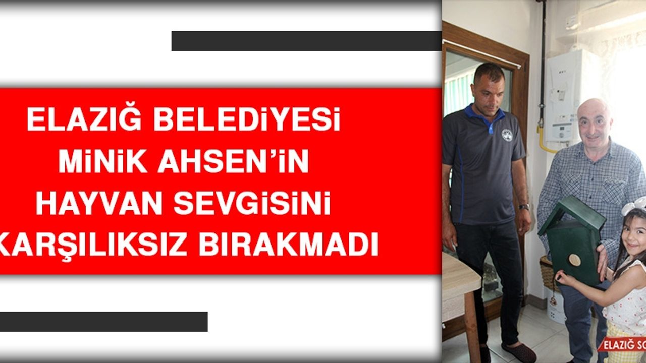 Elazığ Belediyesi Minik Ahsen’in Hayvan Sevgisini Karşılıksız Bırakmadı