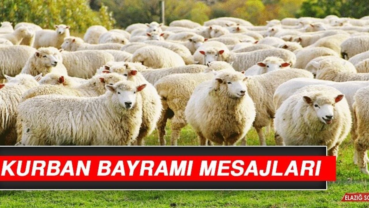 Elazığ İl Protokolünden Kurban Bayramı Mesajları