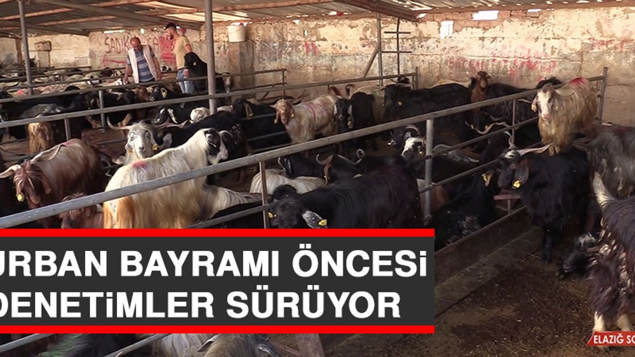 Kurban Bayramı Öncesi Denetimler Sürüyor