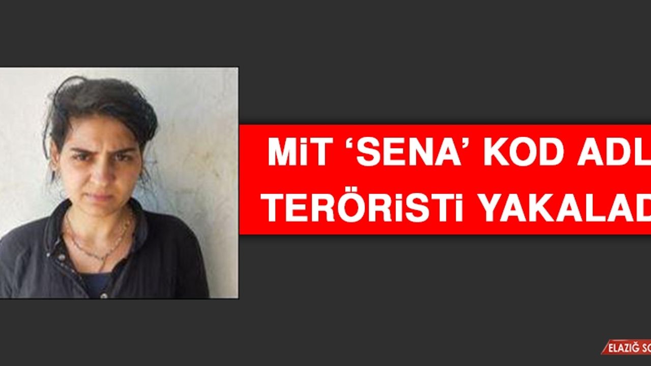 MİT Sena Kod Adlı Teröristi Yakaladı