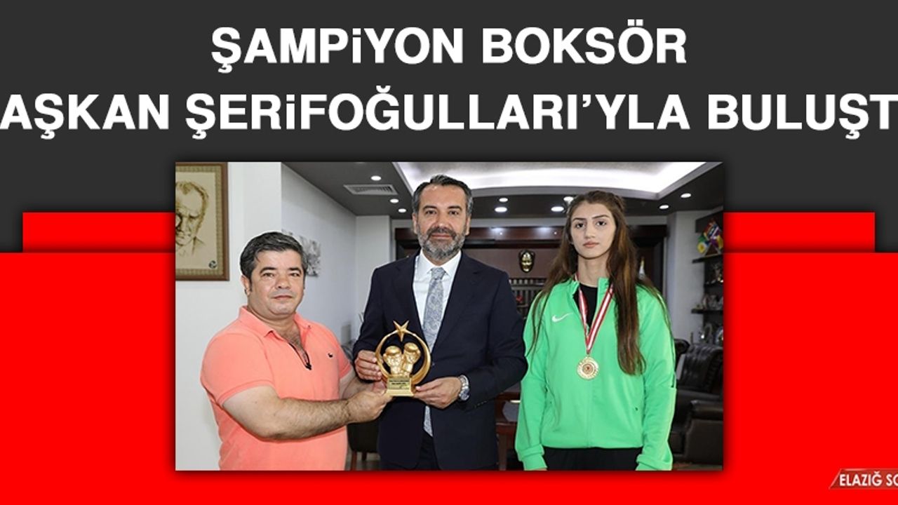 Şampiyon Boksör Başkan Şerifoğulları’yla Buluştu